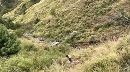 हिमाचल में बड़ा हादसा: 300 फीट गहरी खाई में लुढ़की कार! दो युवकों की मौत, एक घायल हिमाचल में बड़ा हादसा: 300 फीट गहरी खाई में लुढ़की कार! दो युवकों की मौत, एक घायल