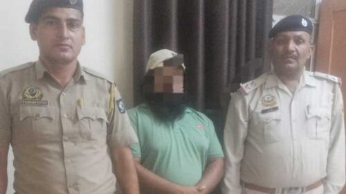 Paonta Sahib: ऑटो रिपेयर की दुकान में चल रहा था नशीले पदार्थों का धंधा! पुलिस ने मारा छापा, पकड़ी 2.119 किलोग्राम भुक्की Paonta Sahib: ऑटो रिपेयर की दुकान में चल रहा था नशीले पदार्थों का धंधा! पुलिस ने मारा छापा, पकड़ी 2.119 किलोग्राम भुक्की