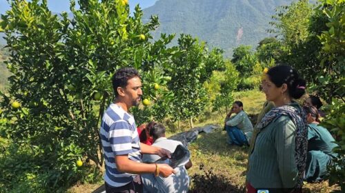 Himachal News Update: किसानों ने सोलन फल मार्केट में बेची 10 क्विंटल मौसमी की खेप! मिले बेहतर दाम Himachal News Update: किसानों ने सोलन फल मार्केट में बेची 10 क्विंटल मौसमी की खेप! मिले बेहतर दाम