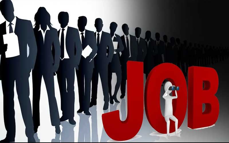 Jobs In Himachal: हिमाचल में 120 पदों पर निकली भर्ती! 23 हजार तक मिलेगी सैलरी, यहां होंगे इंटरव्यू