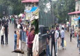 HP Tourism: कसौली में सैलानियों की भारी भीड़! होटल 100 फ़ीसदी पैक, कारोबारी ख़ुश