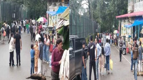 HP Tourism: कसौली में सैलानियों की भारी भीड़! होटल 100 फ़ीसदी पैक, कारोबारी ख़ुश HP Tourism: कसौली में सैलानियों की भारी भीड़! होटल 100 फ़ीसदी पैक, कारोबारी ख़ुश
