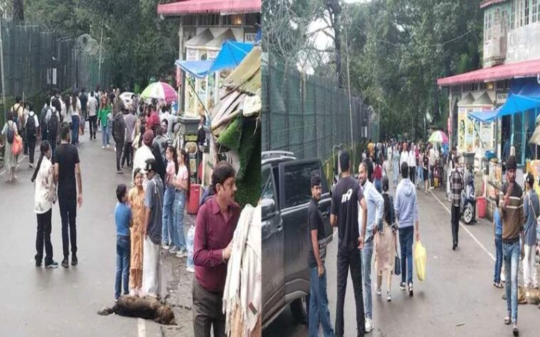 HP Tourism: कसौली में सैलानियों की भारी भीड़! होटल 100 फ़ीसदी पैक, कारोबारी ख़ुश HP Tourism: कसौली में सैलानियों की भारी भीड़! होटल 100 फ़ीसदी पैक, कारोबारी ख़ुश