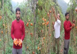 Himachal News Update: चार साल की उम्र में माता-पिता को खोया! अब प्राकृतिक खेती से कमा रहे दो लाख रुपए