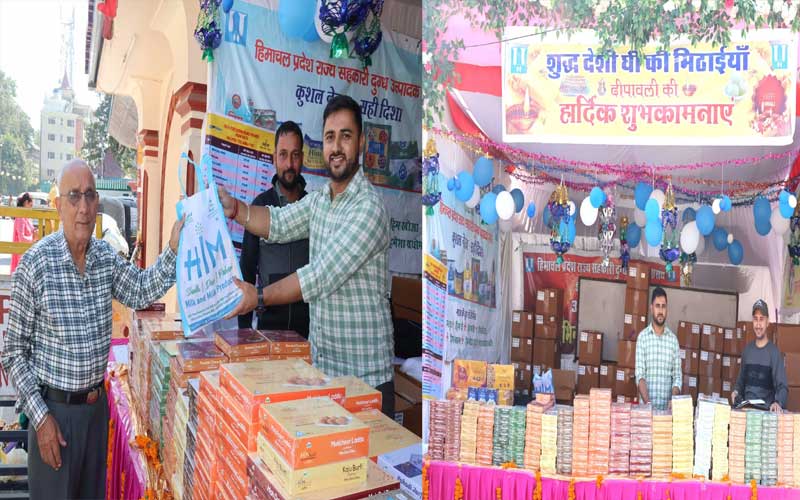 Himachal News Update: मिल्कफैड ने तैयार की 500 क्विंटल शुद्ध देसी घी की मिठाइयां! 30 काउंटरों पर बिक्री शुरू