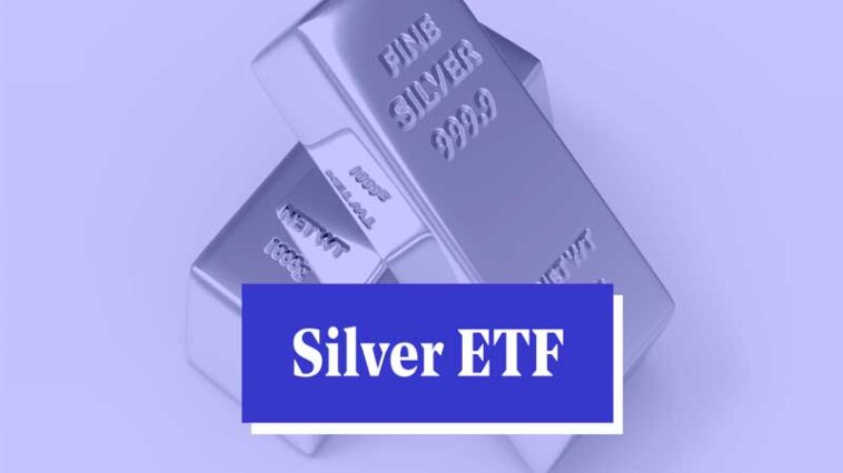 Silver ETF: सिल्वर ETF का जादू या जंजाल? क्यों म्युचुअल फंड हाउसेस ने लगाई सिल्वर ETF पर रोक Silver ETF: सिल्वर ETF का जादू या जंजाल? क्यों म्युचुअल फंड हाउसेस ने लगाई सिल्वर ETF पर रोक