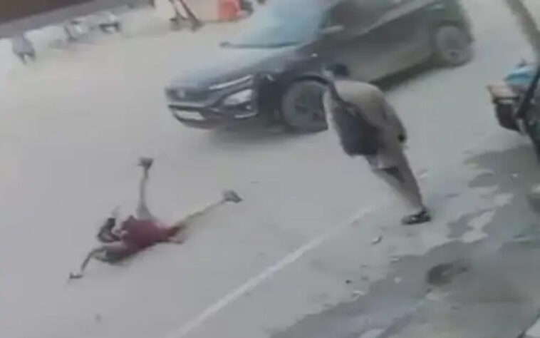 Accident In Himachal: सड़क क्रॉस कर रही छात्रा को तेज रफ्तार गाड़ी ने मारी टक्कर! गंभीर घायल Accident In Himachal: सड़क क्रॉस कर रही छात्रा को तेज रफ्तार गाड़ी ने मारी टक्कर! गंभीर घायल