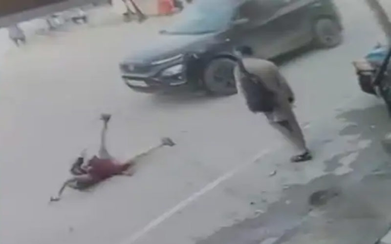 Accident In Himachal: सड़क क्रॉस कर रही छात्रा को तेज रफ्तार गाड़ी ने मारी टक्कर! गंभीर घायल