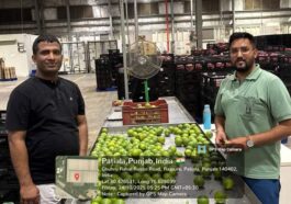 HP News: एचपी शिवा परियोजना से बागवानों को मिल रहा बड़ा लाभ! मौसमी की तीसरी खेप पहुँची रिलायंस स्टोर राजपुरा