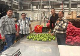 HP News: मौसमी की पहली खेप पहुंची राजपुरा रिलायंस स्टोर! बागवानों को मिल रहे बेहतर दाम