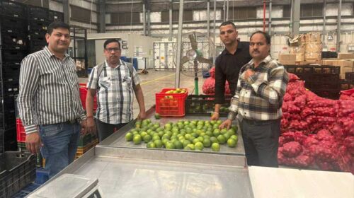 HP News: मौसमी की पहली खेप पहुंची राजपुरा रिलायंस स्टोर! बागवानों को मिल रहे बेहतर दाम HP News: मौसमी की पहली खेप पहुंची राजपुरा रिलायंस स्टोर! बागवानों को मिल रहे बेहतर दाम