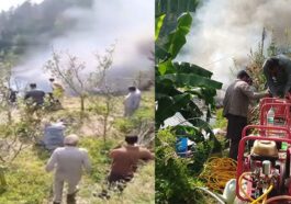 Himachal News Alert: हिमाचल में भीषण अग्निकांड! पांच मकान जलकर राख, गाय जिंदा जली