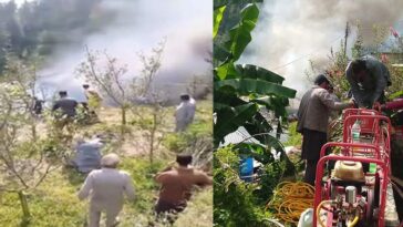 Himachal News Alert: हिमाचल में भीषण अग्निकांड! पांच मकान जलकर राख, गाय जिंदा जली