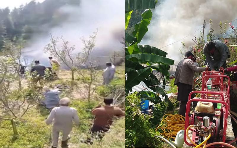 Himachal News Alert: हिमाचल में भीषण अग्निकांड! पांच मकान जलकर राख, गाय जिंदा जली