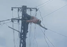 Himachal News Alert: एलटी लाइन की रिपेयर करते व्यक्ति को लगा करंट! फिर खम्भे से नीचे गिरा, मौत