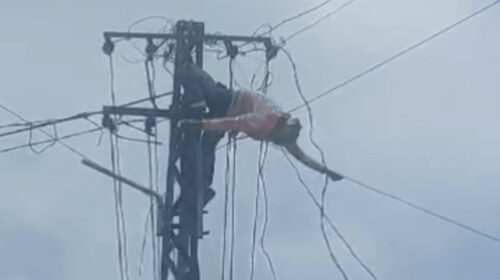 Himachal News Alert: एलटी लाइन की रिपेयर करते व्यक्ति को लगा करंट! फिर खम्भे से नीचे गिरा, मौत Himachal News Alert: एलटी लाइन की रिपेयर करते व्यक्ति को लगा करंट! फिर खम्भे से नीचे गिरा, मौत