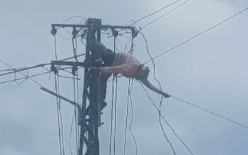 Himachal News Alert: एलटी लाइन की रिपेयर करते व्यक्ति को लगा करंट! फिर खम्भे से नीचे गिरा, मौत