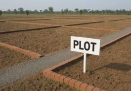 Himachal News Update: अब ग्रामीण क्षेत्रों में भी 1000 वर्गमीटर से अधिक प्लॉट पर निर्माण के लिए लेनी होगी अनुमति