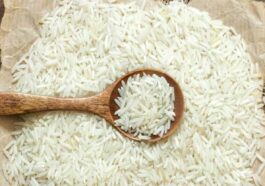 Himachal Latest News: सरकारी डिपो से मिलने वाला फोर्टिफाइड चावल सुरक्षित और स्वास्थयवर्धक! कई पोषक तत्व भी शामिल