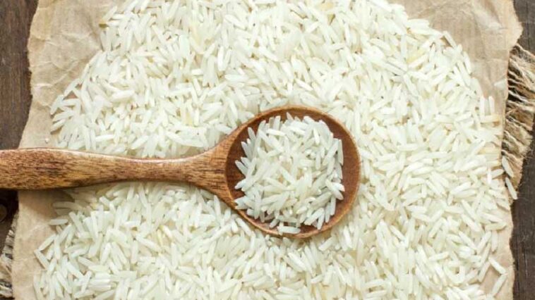 HP News: पौष्टिक और सेहत के लिए फायदेमंद है राशन डिपुओं में मिलने वाला फोर्टिफाइड चावल! निगम बोला- अफवाहों में न आए
