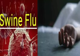 Swine Flu: हिमाचल में स्वाइन फ्लू से 21 साल की युवती ने गवाई जान! पीजीआई चंडीगढ़ में तोड़ा दम, स्वास्थ्य विभाग अलर्ट