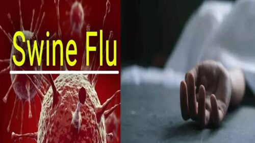 Swine Flu: हिमाचल में स्वाइन फ्लू से 21 साल की युवती ने गवाई जान! पीजीआई चंडीगढ़ में तोड़ा दम, स्वास्थ्य विभाग अलर्ट Swine Flu: हिमाचल में स्वाइन फ्लू से 21 साल की युवती ने गवाई जान! पीजीआई चंडीगढ़ में तोड़ा दम, स्वास्थ्य विभाग अलर्ट
