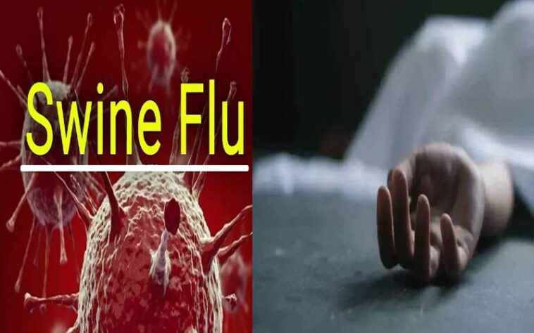 Swine Flu: हिमाचल में स्वाइन फ्लू से 21 साल की युवती ने गवाई जान! पीजीआई चंडीगढ़ में तोड़ा दम, स्वास्थ्य विभाग अलर्ट Swine Flu: हिमाचल में स्वाइन फ्लू से 21 साल की युवती ने गवाई जान! पीजीआई चंडीगढ़ में तोड़ा दम, स्वास्थ्य विभाग अलर्ट