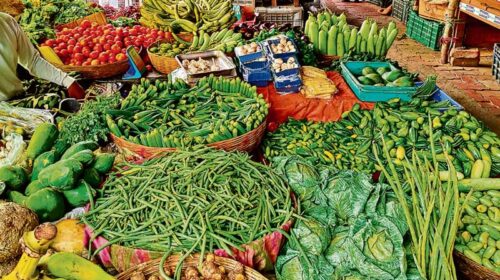 Himachal News: बाहरी राज्यों से बढ़ी आपूर्ति! सब्जियों के दामों में गिरावट, 20-40 रुपये प्रतिकिलो तक घटे भाव