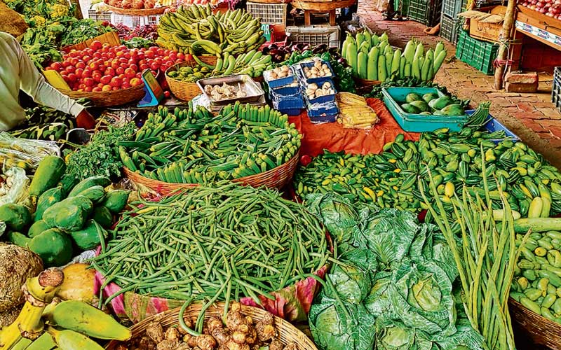 Vegetable Price: त्योहारी सीजन में सब्जियों के दाम बढ़े! मटर 200 पहुंचा, फुलगोभी-फ्रांसबीन भी सौ पार