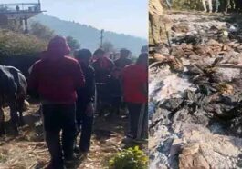 Sirmour News: गौशाला में आग लगने से ज़िंदा जले 60 बेजुबान! 2 जर्सी गाय भी झुलसी