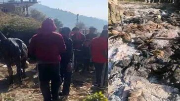 Sirmour News: गौशाला में आग लगने से ज़िंदा जले 60 बेजुबान! 2 जर्सी गाय भी झुलसी
