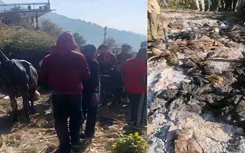 Sirmour News: गौशाला में आग लगने से ज़िंदा जले 60 बेजुबान! 2 जर्सी गाय भी झुलसी