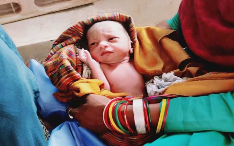 Himachal News: एंबुलेंस में गूंजीं पुत्र की किलकारी! ईएमटी और पायलट की सूझबूझ से जच्चा-बच्चा सुरक्षित Himachal News: एंबुलेंस में गूंजीं पुत्र की किलकारी! ईएमटी और पायलट की सूझबूझ से जच्चा-बच्चा सुरक्षित