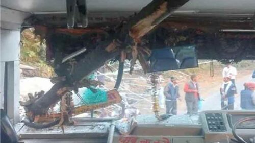 Himachal Latest News: एचआरटीसी की चलती बस पर पहाड़ी से गिरा पेड़! फ्रंट शीशा चकनाचूर, 40 यात्री थे सवार