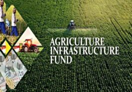 HP News: कृषि अवसंरचना कोष के तहत योजनाओं की जिओ टैगिंग में देशभर में अव्वल रहा हिमाचल