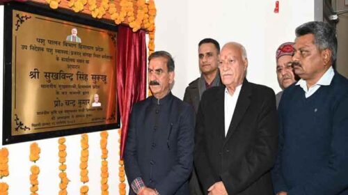 CM Sukhu: सीएम ने किया पशुपालन विभाग के नए कार्यालय भवन का उद्घाटन! पशुपालकों को मिलेगी बेहतर सुविधाएं CM Sukhu: सीएम ने किया पशुपालन विभाग के नए कार्यालय भवन का उद्घाटन! पशुपालकों को मिलेगी बेहतर सुविधाएं