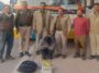 Himachal Crime News: एचआरटीसी बस में हो रही थी चरस की तस्करी! यात्री के बैग से मिली बड़ी खेप