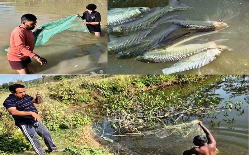 मुख्यमंत्री कार्प मत्स्य पालन योजना: ग्रामीण आजीविका व स्वरोजगार की नई राह! मछली पालन से युवा कमा रहे लाखों का मुनाफा