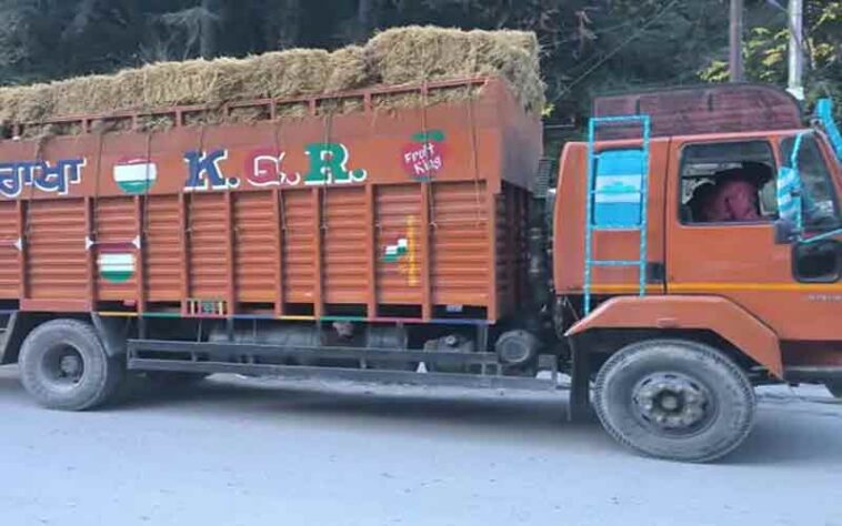 Himachal Crime News: हिमाचल में गो तस्करी का भंडाफोड़! ट्रक से 11 मवेशी बरामद, दो अरेस्ट Himachal Crime News: हिमाचल में गो तस्करी का भंडाफोड़! ट्रक से 11 मवेशी बरामद, दो अरेस्ट