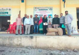 Himachal Latest News: प्राकृतिक खेती से उगाई मक्की! किसानों ने 40 रुपये प्रति किलो बेचकर की खूब कमाई