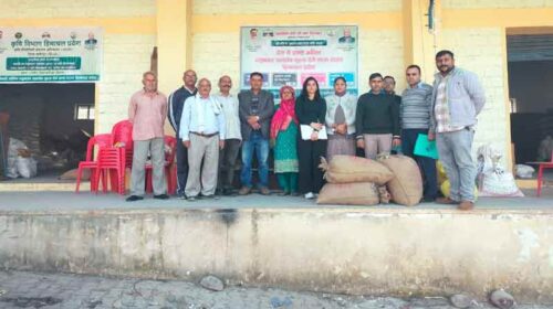 Himachal Latest News: प्राकृतिक खेती से उगाई मक्की! किसानों ने 40 रुपये प्रति किलो बेचकर की खूब कमाई Himachal Latest News: प्राकृतिक खेती से उगाई मक्की! किसानों ने 40 रुपये प्रति किलो बेचकर की खूब कमाई