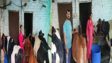 HP News: टीजीटी साइंस से डेयरी उद्यमी तक का सफर! सोनिका का ‘स्मार्ट वर्क’ बना प्रेरणा स्रोत, हर माह कमा रही 1.10 लाख