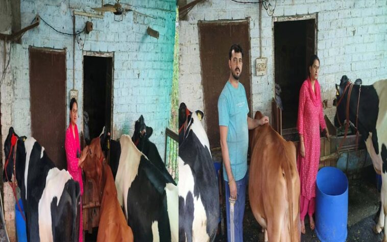 HP News: टीजीटी साइंस से डेयरी उद्यमी तक का सफर! सोनिका का ‘स्मार्ट वर्क’ बना प्रेरणा स्रोत, हर माह कमा रही 1.10 लाख