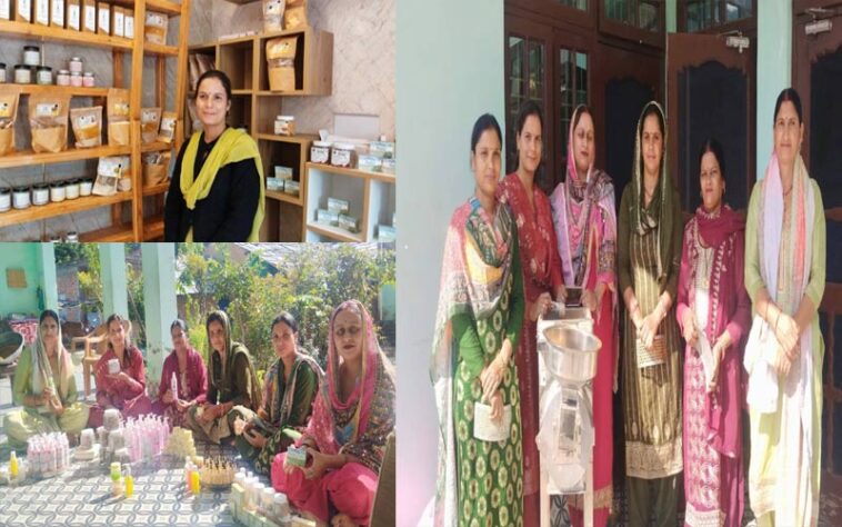 Himachal Latest News: महिला सशक्तिकरण और स्वावलंबन की नई पहचान बनतीं हिम ईरा शाॅप्स! हो रही लाखों की कमाई