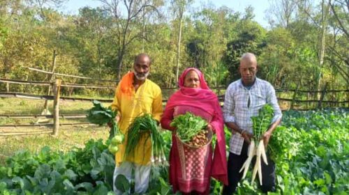 Himachal News : सब्जियों को बेचकर तीन लाख रुपये तक का मुनाफा कमा रहे कमल किशोर और कुसुम लता Himachal News : सब्जियों को बेचकर तीन लाख रुपये तक का मुनाफा कमा रहे कमल किशोर और कुसुम लता