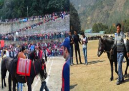 Lavi Fair: लवी मेले में 84 हज़ार में बिका सबसे मंहगा घोड़ा! आज अश्व प्रदर्शनी का अंतिम दिन, होगा उत्तम अश्वों का चयन