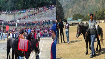 Lavi Fair: लवी मेले में 84 हज़ार में बिका सबसे मंहगा घोड़ा! आज अश्व प्रदर्शनी का अंतिम दिन, होगा उत्तम अश्वों का चयन