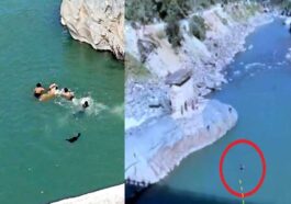 Himachal News Alert: युवती को रील बनाना पड़ा भारी! पुल से सतलुज नदी में गिरी, ऐसे बची जान