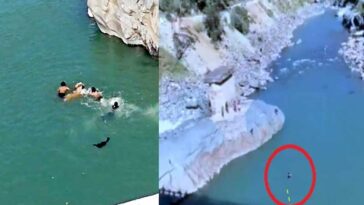 Himachal News Alert: युवती को रील बनाना पड़ा भारी! पुल से सतलुज नदी में गिरी, ऐसे बची जान