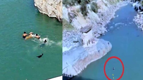 Himachal News Alert: युवती को रील बनाना पड़ा भारी! पुल से सतलुज नदी में गिरी, ऐसे बची जान